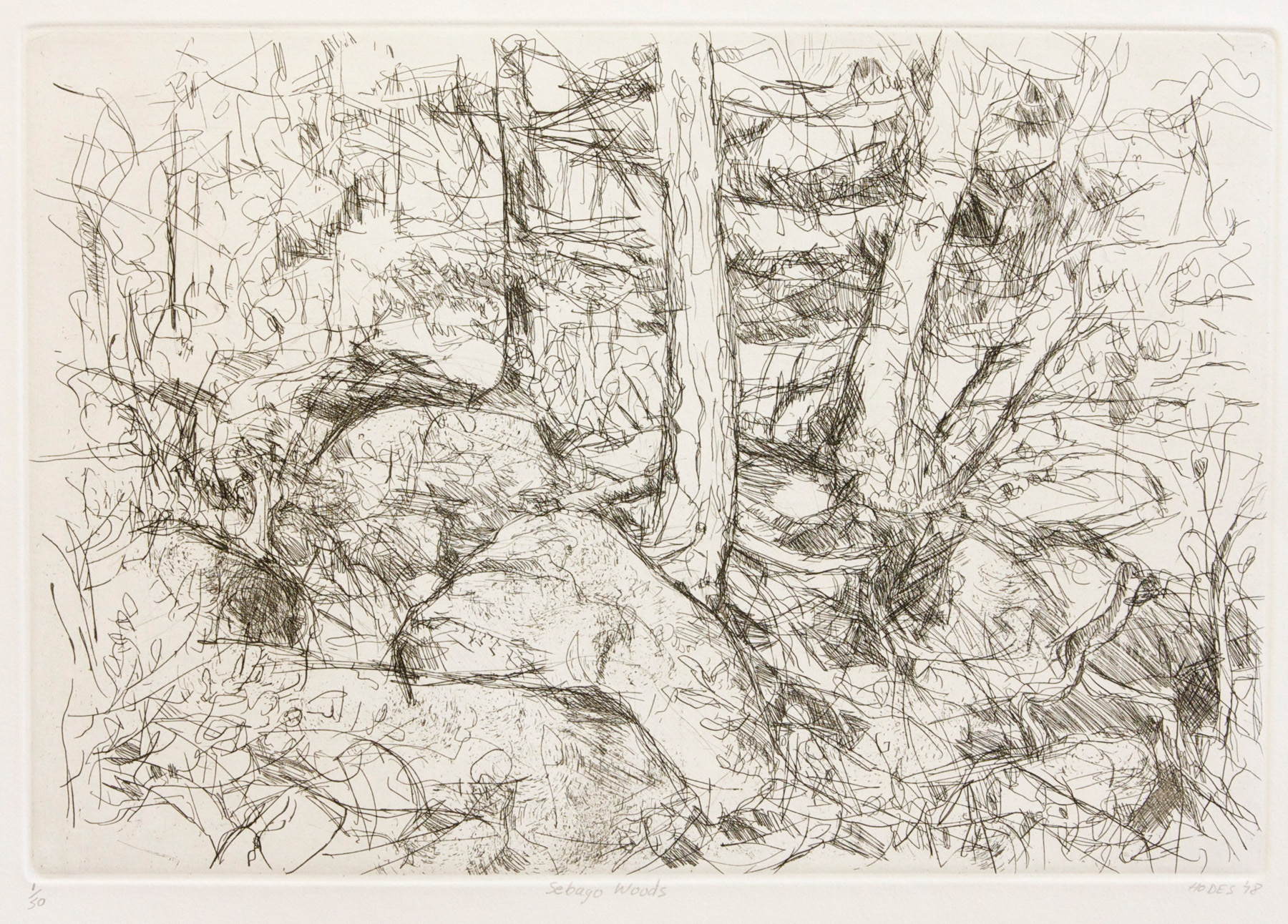 2093-Sebago Woods-18x26